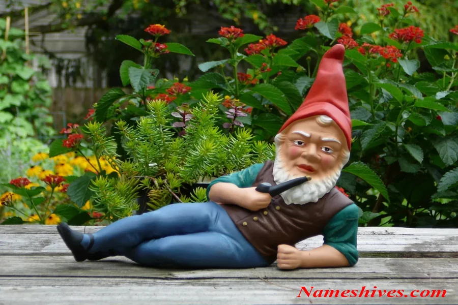 funny gnome names