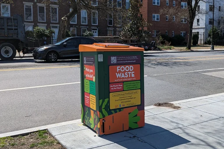 Round Bins