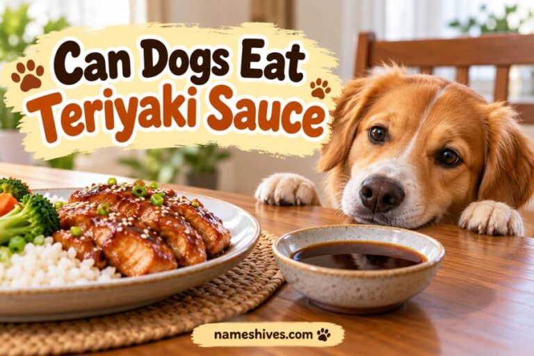Can Dogs Eat Teriyaki Sauce